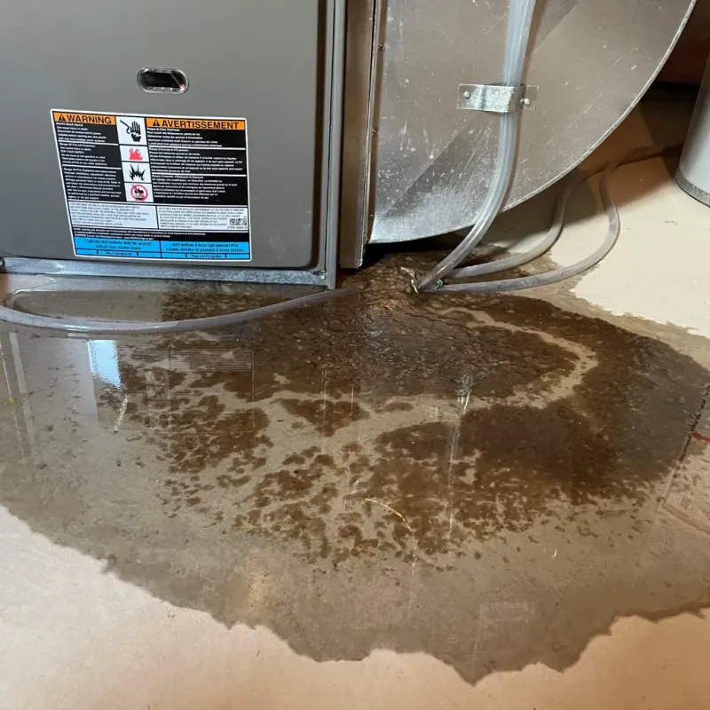 Appliance Leak Cleanup in Chester, NJ